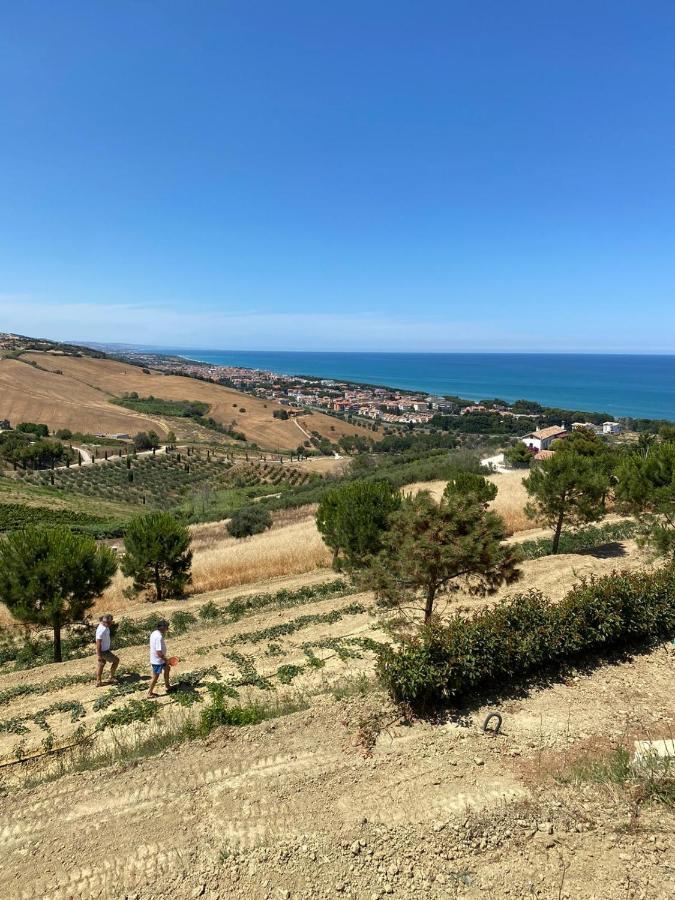 Casale Adriatico B&B Pineto Buitenkant foto